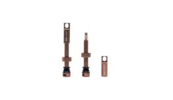 Selcof Tubeless Presta Valves Set -Planetx Shop WSSELTV P4